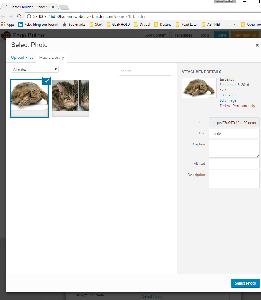 beaver builder